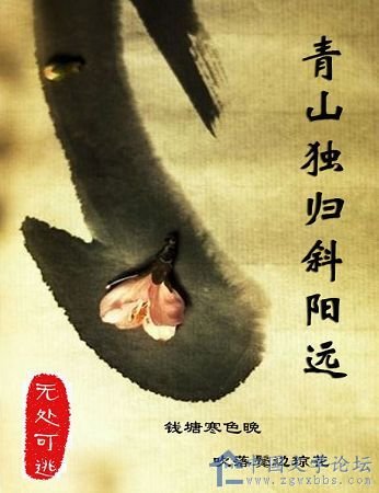 青山独归斜阳远