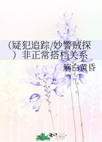(疑犯追蹤/妙警賊探)非正常搭檔關係