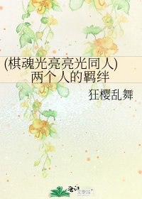 (棋魂光亮亮光同人)两个人的羁绊