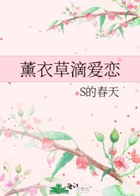 薰衣草滴爱恋