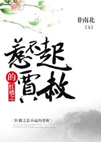 (BL/紅樓同人)紅樓之惹不起的賈赦
